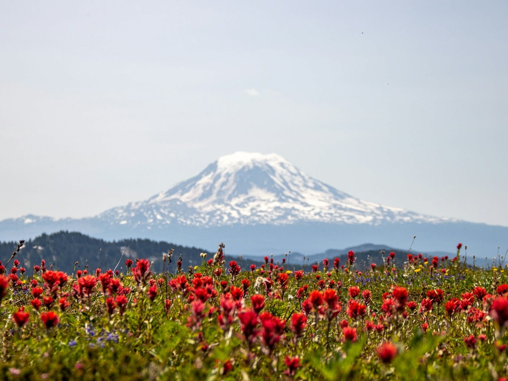 Goat Rock Wilderness met uitzicht op de Mount Rainier