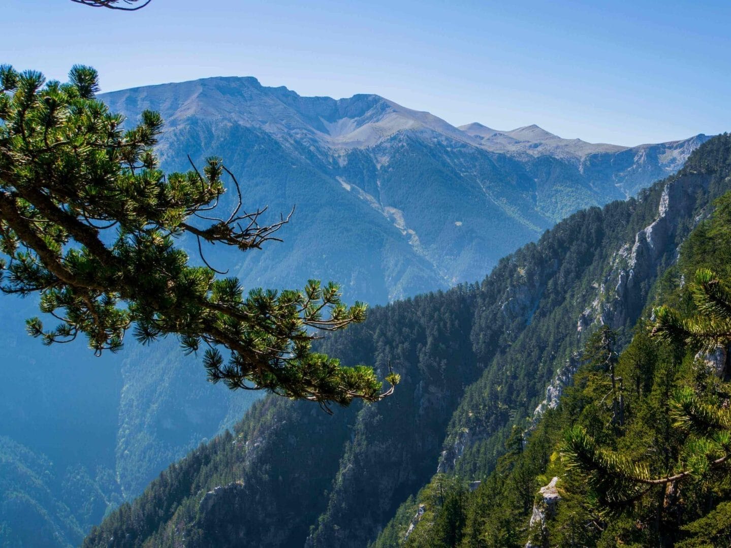 Eerste uitzicht op de omliggende bergen met groene dennen op de voorgrond