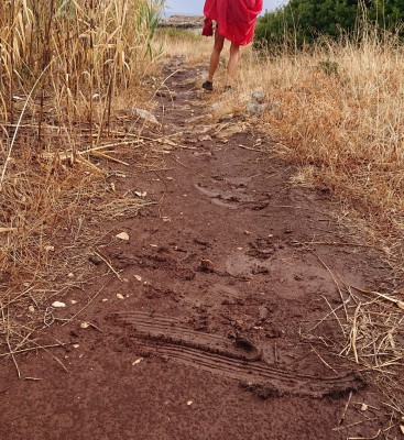 Foto 1 van Jeannine bij adidas Terrex - Women's Terrex Soulstride RAIN.RDY - Trailrunningschoenen