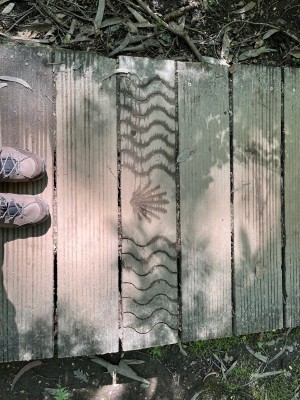 Foto 1 van Anette bij CEP - Women's Hiking Merino Mid-Cut Socks - Compressiesokken