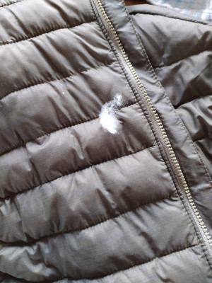 Foto 1 van Robin-Pierre bij Columbia - Powder Pass Vest - Synthetische bodywarmer