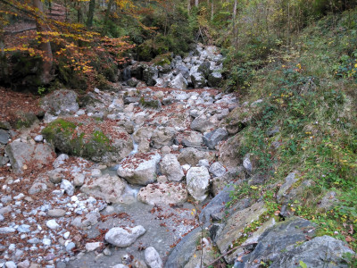 Foto 1 van Dietmar bij Falke - SK Energy - Compressiesokken