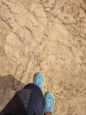 Foto 1 van Marc bij HOKA - Speedgoat 5 - Trailrunningschoenen