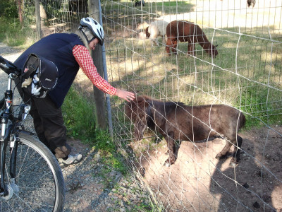 Foto 1 van Cordula bij Lundhags - Women's Authentic Pant - Trekkingbroek