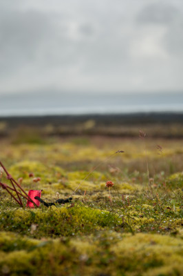 Foto 1 van Sigrid bij MSR - Blizzard Tent Stakes - Haring