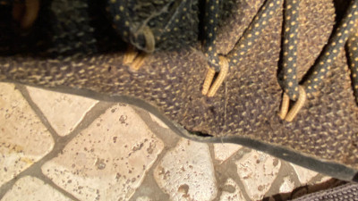 Foto 1 van Frank bij Naglev - Unico Combat WP - Multisportschoenen