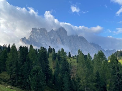 Foto 1 van Thomas bij Ortovox - All Mountain Mid Socks - Merinosokken