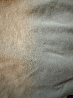 Foto 1 van Nick bij Patagonia - Baggies Lights 6'' - Short