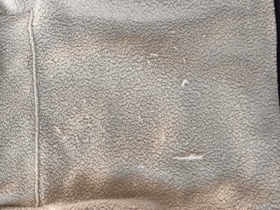 Foto 1 van Jule bij Patagonia - Women's Retro Pile Hoody - Fleecevest