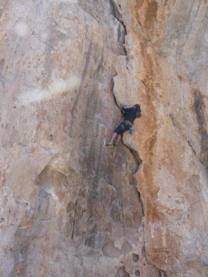 Foto 1 van Siegfried bij Petzl - Spirit Straight Gate - Niet-beveiligde karabiner