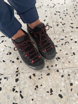 Foto 1 van Britta bij Salewa - Women's Alp Trainer 2 GTX - Multisportschoenen
