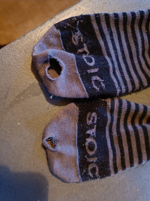 Foto 1 van Folkert bij Stoic - Merino Everyday Crew Socks - Multifunctionele sokken