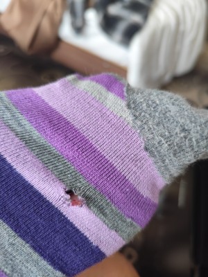 Foto 1 van Nicole bij Stoic - Merino Trekking Crew Socks Stripes - Wandelsokken