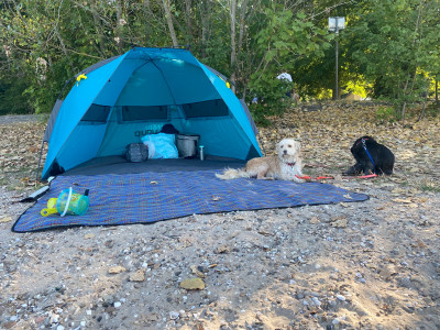 Foto 1 van Eva-Maria bij Uquip - Speedy - Tarp