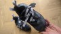 Foto 1 van Anna Andreevna bij Evolv - Phantom - Klimschoenen