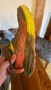 Foto 2 van Florian bij HOKA - Speedgoat 5 - Trailrunningschoenen