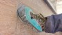 Foto 2 van MARCIN bij La Sportiva - TX4 Evo GTX - Approachschoenen