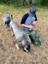 Foto 3 van Thomas bij Mystery Ranch - Blitz 30 - Wandelrugzak