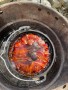 Foto 2 van Benjamin bij Petromax - Fire Pot - Pan