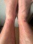 Foto 1 van Jonathon  bij Scarpa - Ribelle Run Kalibra G - Trailrunningschoenen